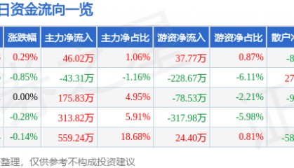 股票行情快报:永安林业(000663)7月28日主力资金净买入46.02万元