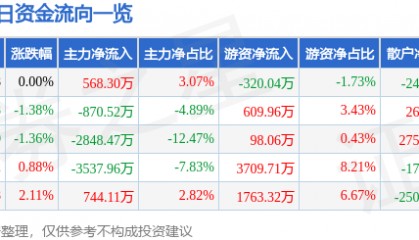 股票行情快报：朗玛信息（300288）7月31日主力资金净买入568.30万元