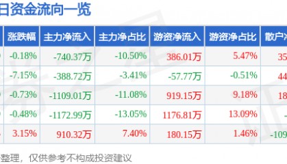 股票行情快报：沙河股份（000014）12月24日主力资金净卖出740.37万元