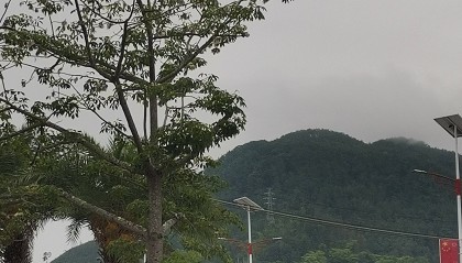 七律四首~范社长赐撰序言标题遐思