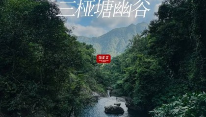 广州团建推荐 | 三桠塘幽谷，打卡避暑秘境｜广州中高层团建 | 广州户外团建好去处推荐