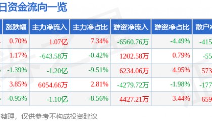 股票行情快报：京东方Ａ（000725）1月17日主力资金净买入1.07亿元