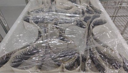 “以蚊治蚊”战基孔肯雅热 记者探访广州“蚊子工厂”