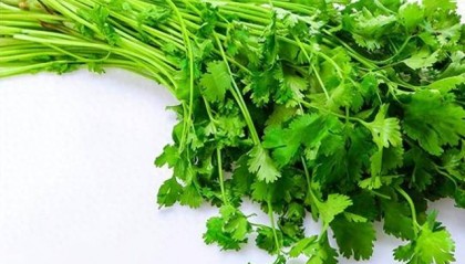 香菜成焦点!专家研究:经常吃香菜的人,用不了多久,或有5变化