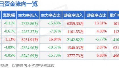 股票行情快报：神火股份（000933）8月5日主力资金净卖出7373.86万元