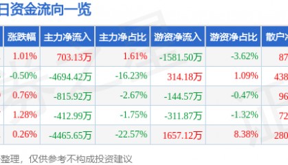 股票行情快报：实达集团（600734）8月21日主力资金净买入703.13万元