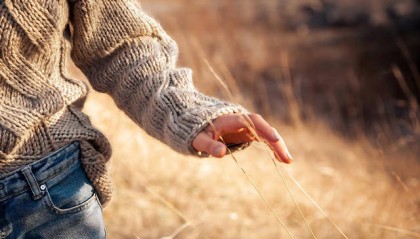 随笔|我的牛仔裤