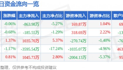 股票行情快报：电科网安（002268）6月9日主力资金净卖出863.98万元