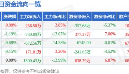股票行情快报：恒源煤电（600971）9月4日主力资金净买入256.50万元