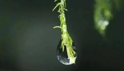 一念之仁，胜过三思之智