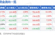 股票行情快报：永安林业（000663）7月10日主力资金净买入115.38万元