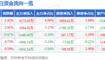 股票行情快报：露笑科技（002617）12月11日主力资金净买入4173.20万元