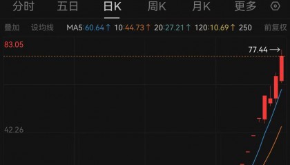 上纬新材股价再创新高，成今年以来首只最大涨幅超12倍股票