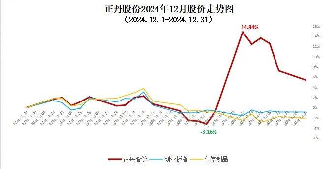 正丹股份月度报告（2024年12月期）