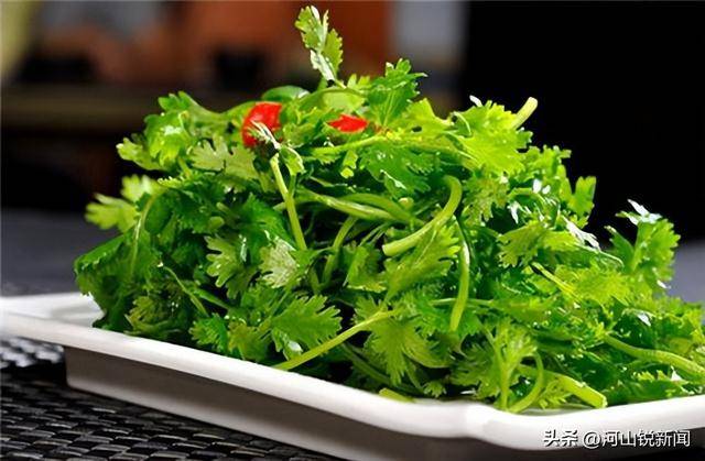 香菜成焦点！专家研究：经常吃香菜的人，用不了多久，或有5变化