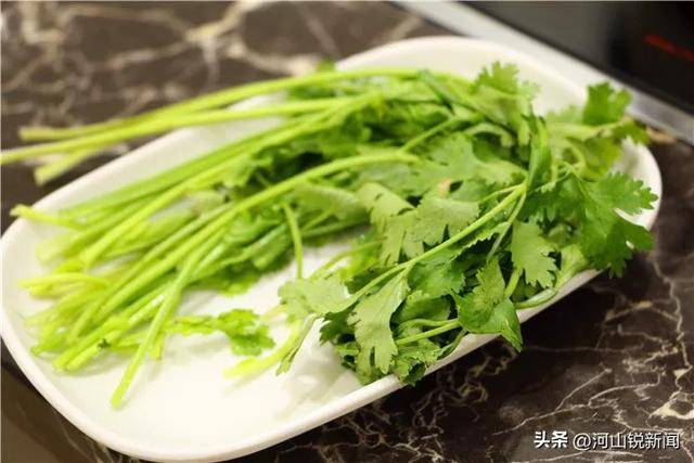 香菜成焦点！专家研究：经常吃香菜的人，用不了多久，或有5变化