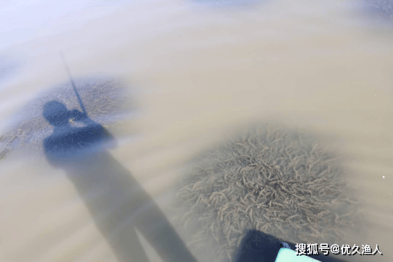 优久方案丨“优草灵”助力水草返青，达到“碰头”状态！