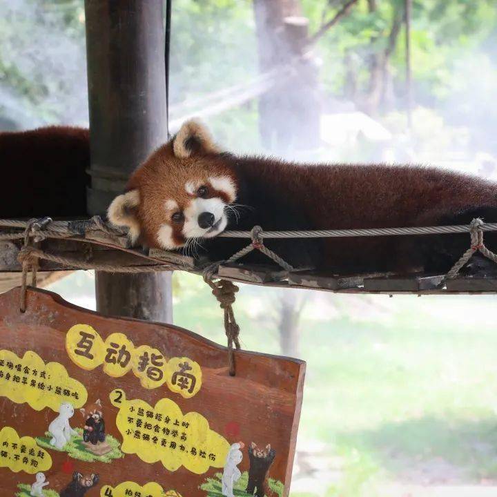 夏天，还得是水雾SPA！