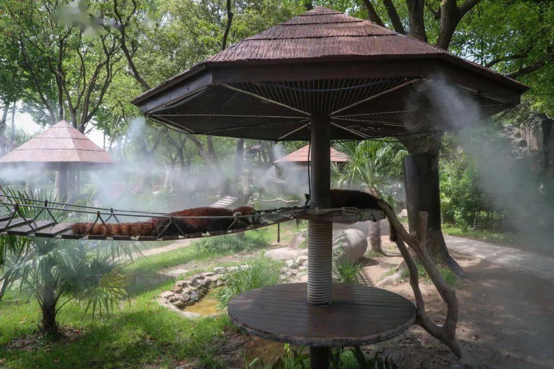 夏天，还得是水雾SPA！
