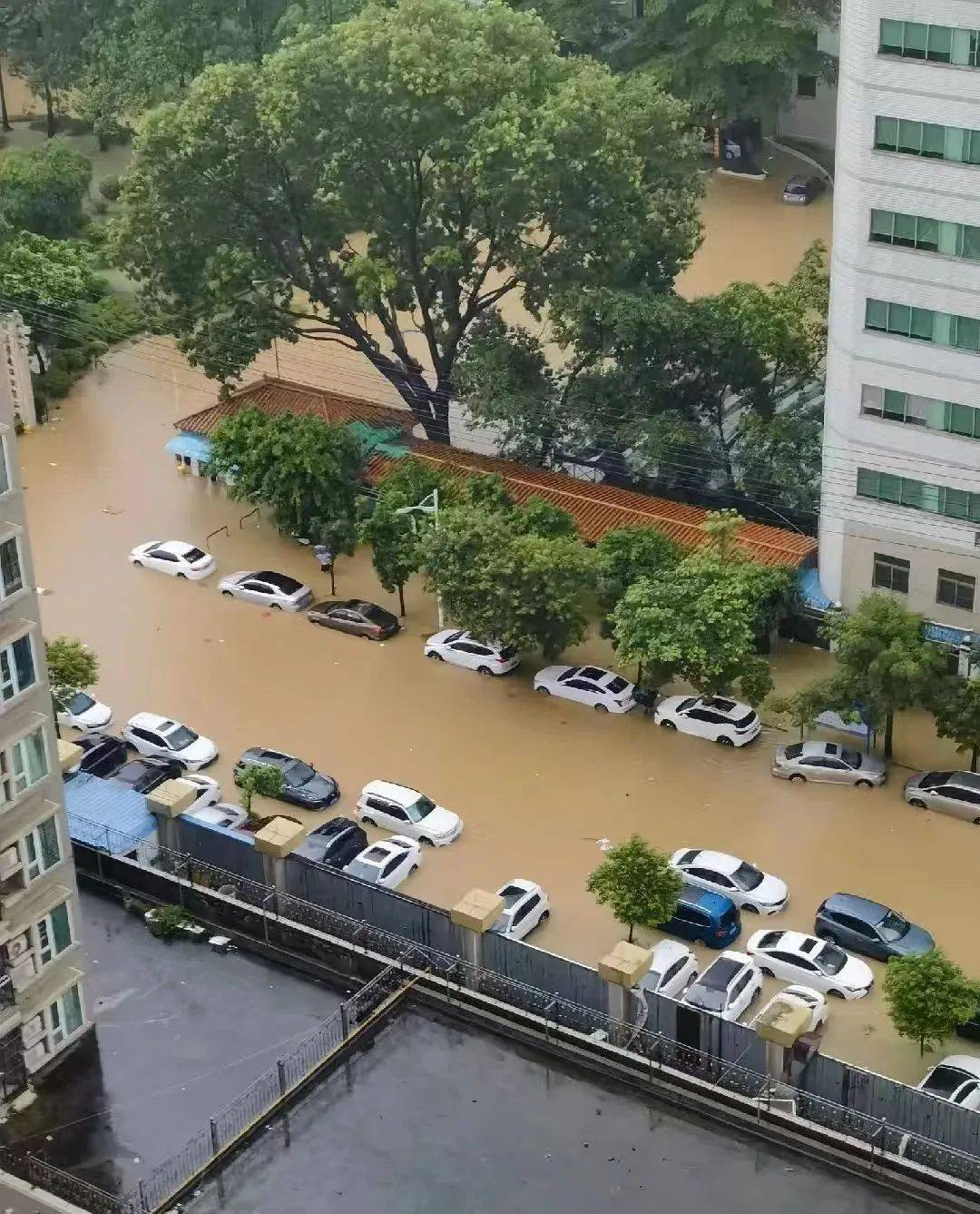 东莞昨晚多地严重水浸，车辆被泡！暴雨红色预警持续生效中！