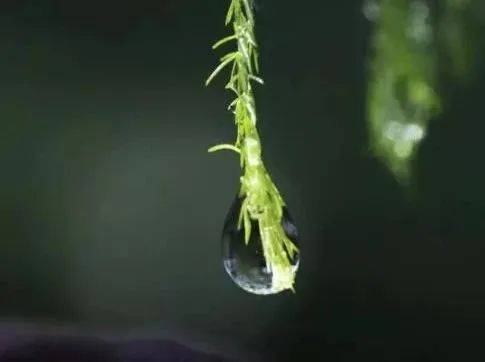 一念之仁，胜过三思之智