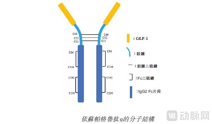 近四年最大首日涨幅，这家创新药企给出GLP-1的 “新解法”