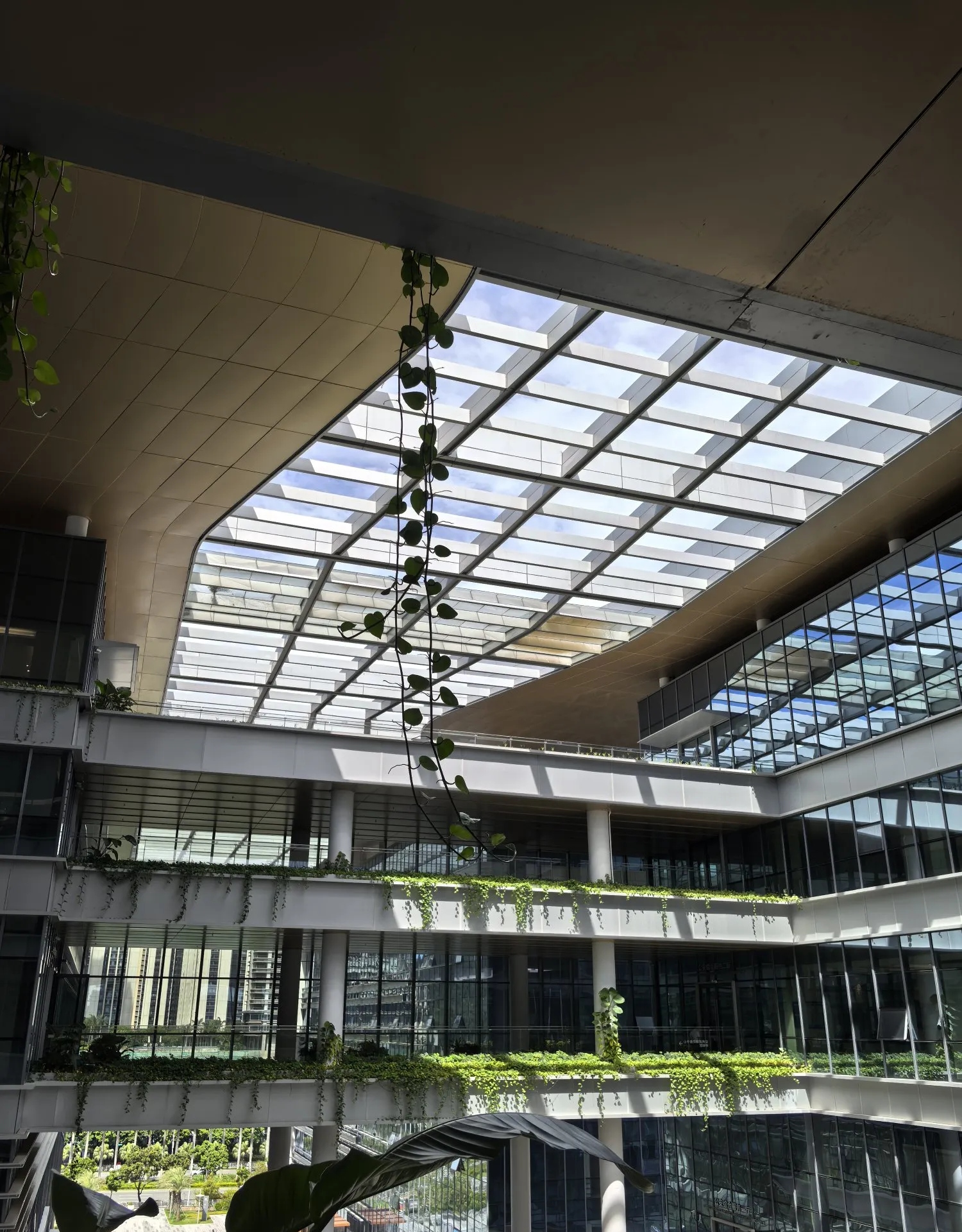 货币中心(货币中心银行)